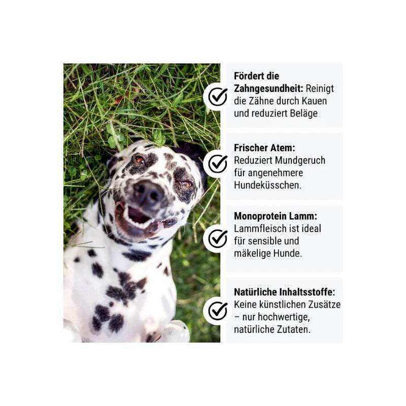 Tales & Tails Lammtastisch insZähniert