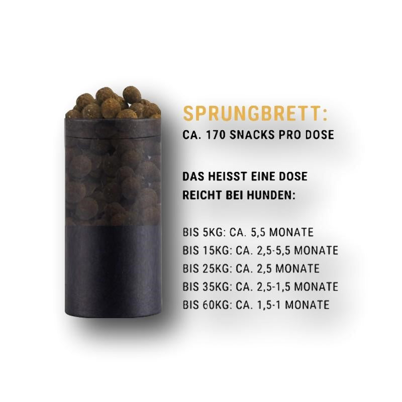 Tales & Tails Nr.2 Sprungbrett