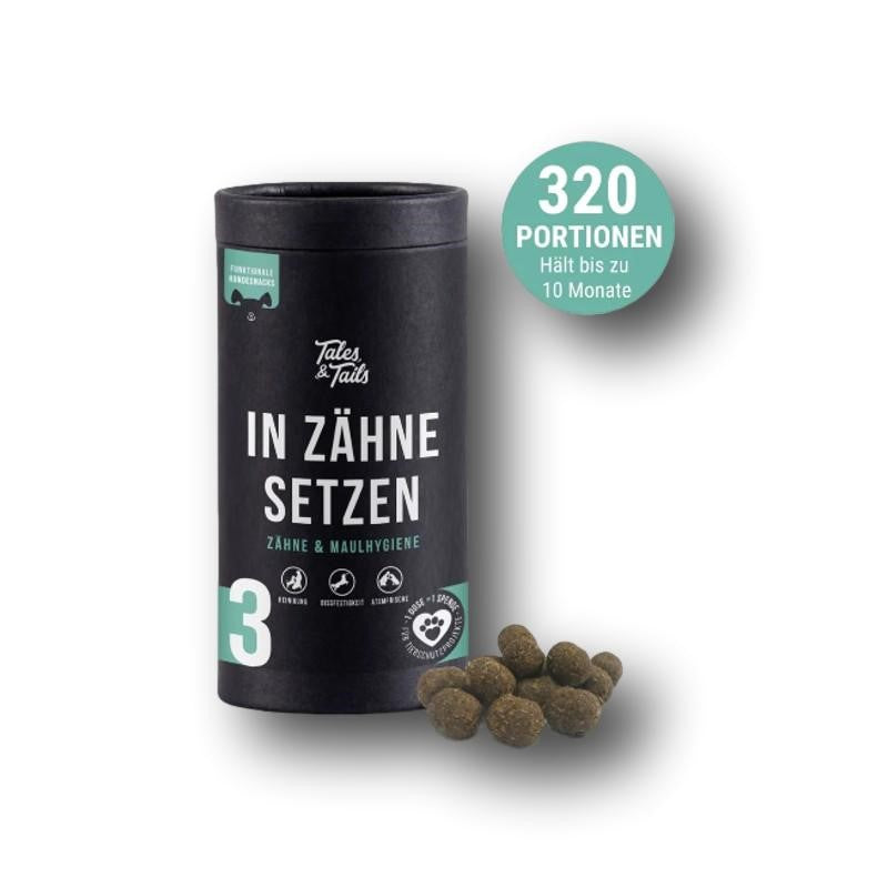 Tales & Tails Nr.3 In Zähne setzen